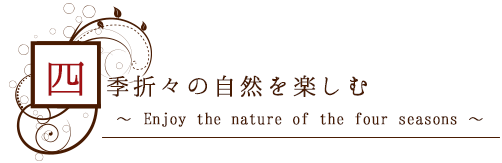 四季折々の自然を楽しむ ~ Enjoy the nature of the four seasons ~